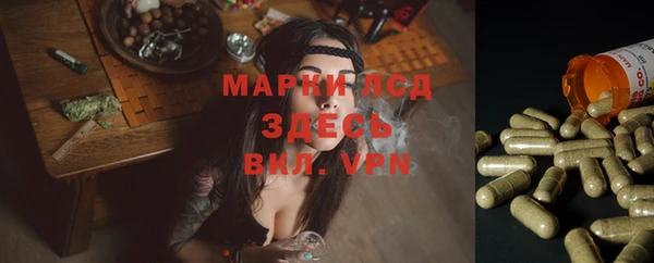 прущая мука Арсеньев