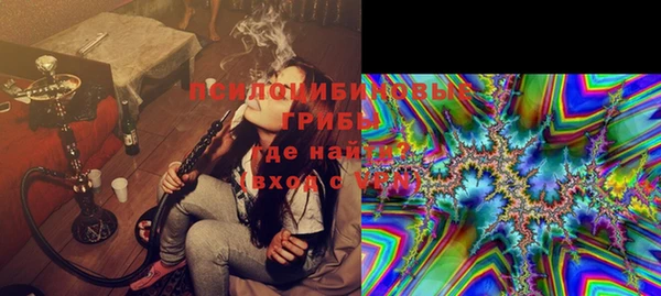 гашик Зерноград