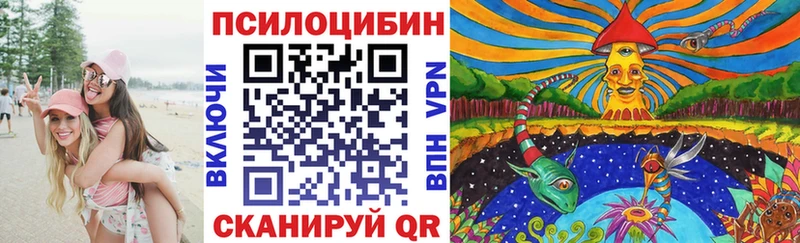 shop формула  Аткарск  Псилоцибиновые грибы Magic Shrooms 